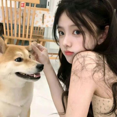 长毛狗